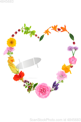 Image of Heart Shaped Wreath of Healing Herbs and Flowers 