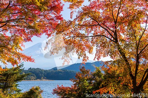 Image of Lake Kawaguchi and Mount Fuji in Autumn season