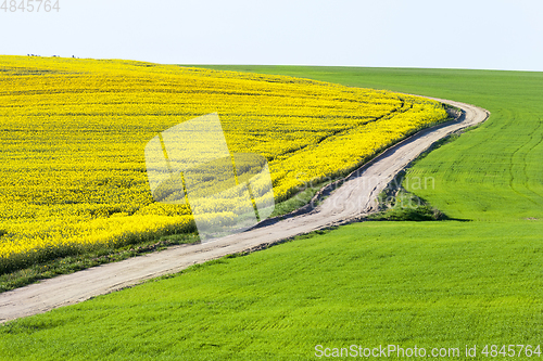 Image of Empty rural road
