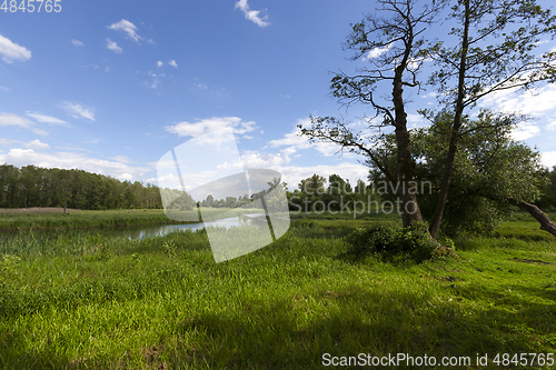 Image of forest river