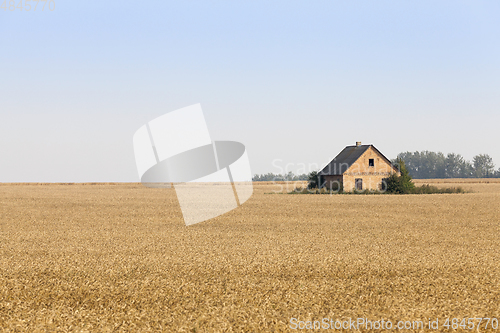 Image of The house is in the field