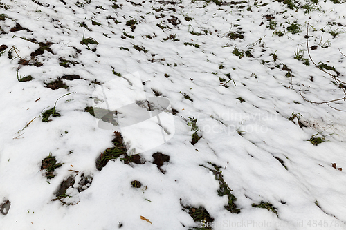 Image of After snowfall