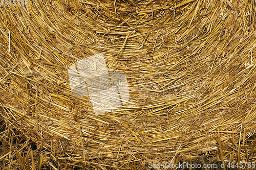 Image of stack of straw in the field