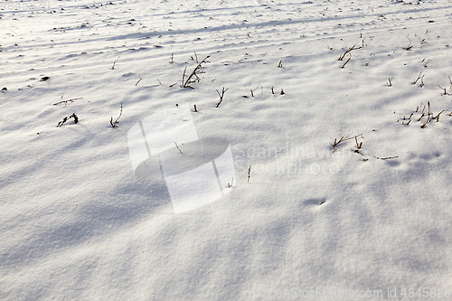 Image of Snow drifts in winter