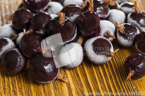 Image of black currant