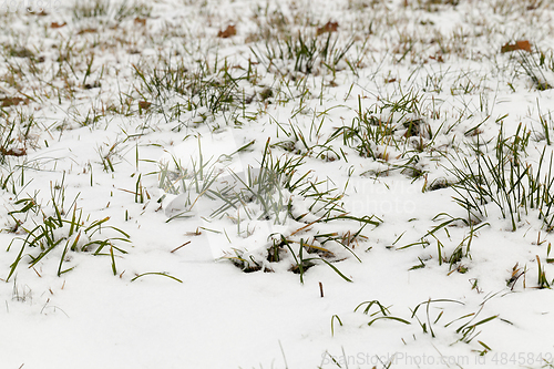 Image of the snow