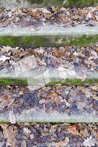 Image of Old steps, autumn