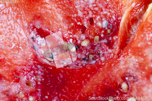 Image of mold on watermelon