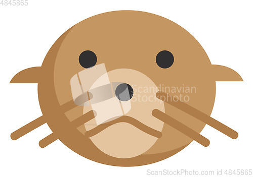 Image of Seal illustration vector on white background 