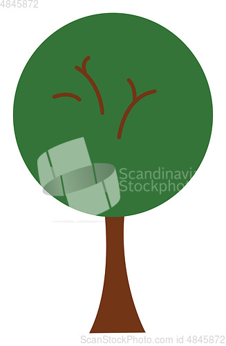 Image of Green tree vector or color illustration
