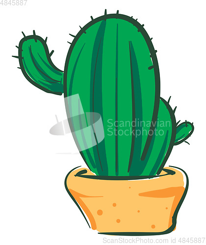 Image of Long cactus in orange pot vector or color illustration