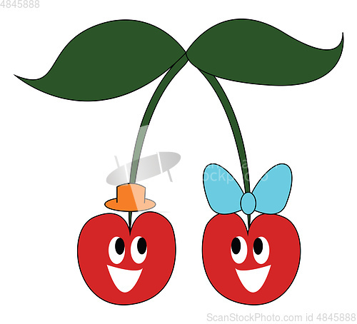 Image of Mrand MrsCherry vector or color illustration
