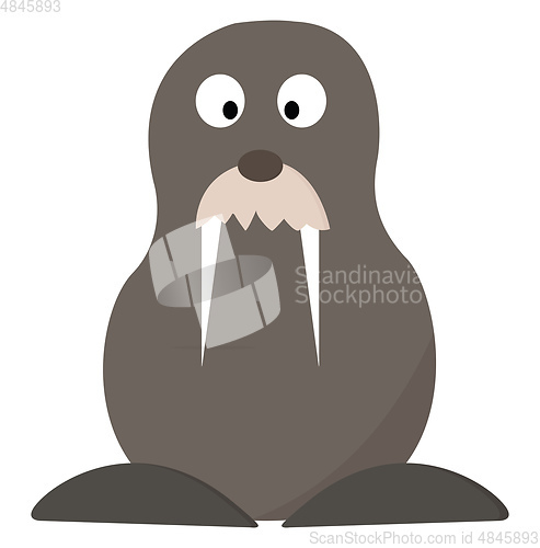 Image of A big grey walrus vector or color illustration