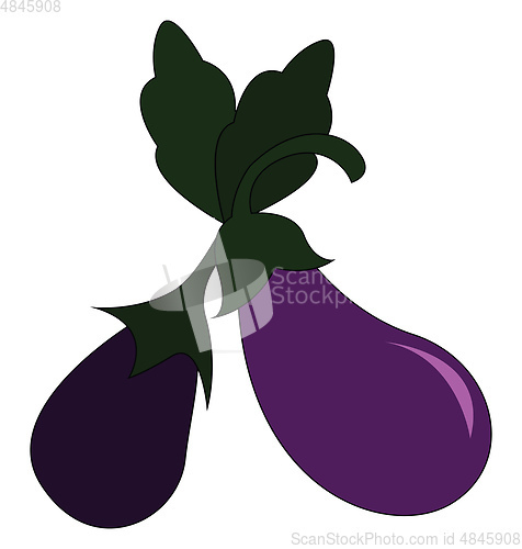 Image of Couple of eggplants 