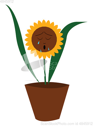 Image of Emoji of a sunflower pot plant with two long leaves shedding tea