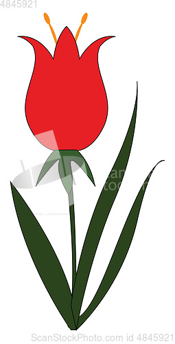 Image of Simple vector illustration on white background of a red flower w