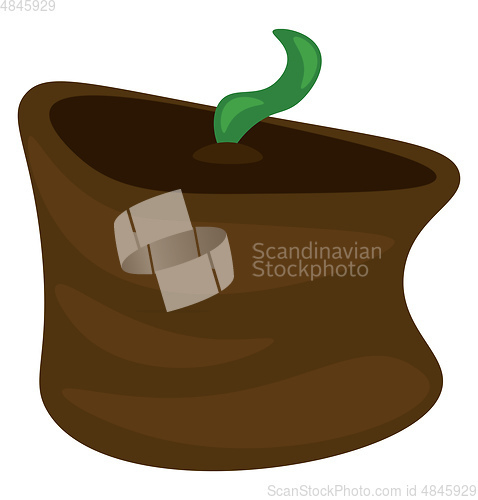 Image of A sprouting seedling vector or color illustration