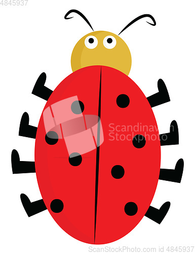 Image of A cute little lady beetle vector or color illustration