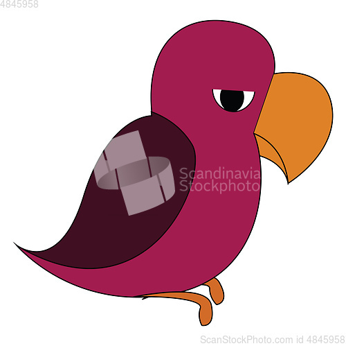 Image of Mad parrot vector or color illustration