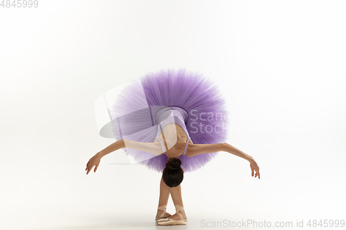 Image of Young graceful tender ballerina on white studio background