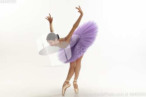 Image of Young graceful tender ballerina on white studio background