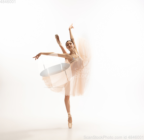 Image of Young graceful tender ballerina on white studio background