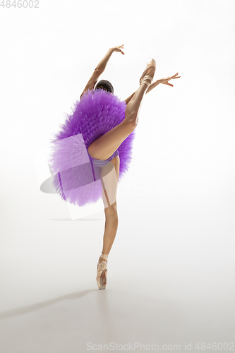 Image of Young graceful tender ballerina on white studio background