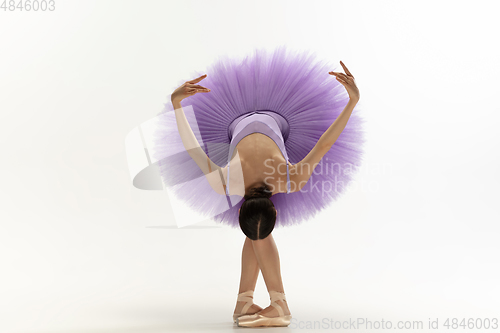 Image of Young graceful tender ballerina on white studio background