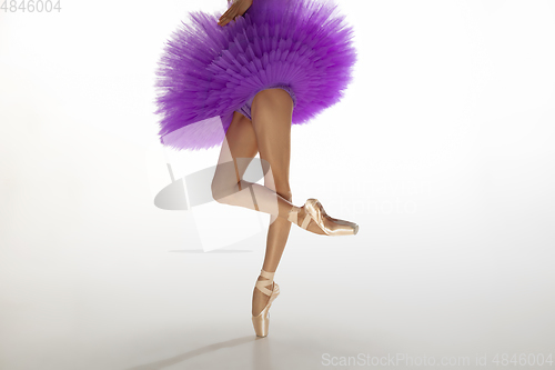 Image of Young graceful tender ballerina on white studio background