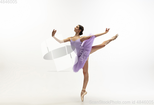 Image of Young graceful tender ballerina on white studio background