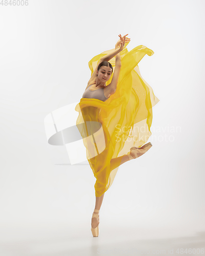 Image of Young graceful tender ballerina on white studio background