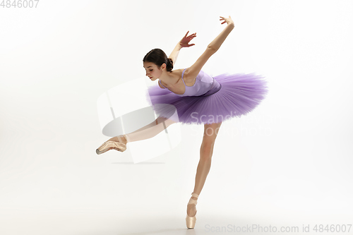 Image of Young graceful tender ballerina on white studio background