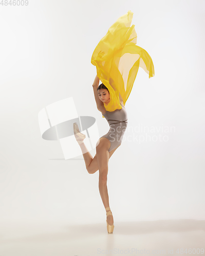 Image of Young graceful tender ballerina on white studio background
