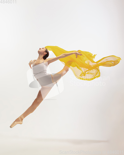 Image of Young graceful tender ballerina on white studio background