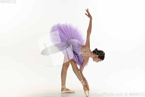 Image of Young graceful tender ballerina on white studio background