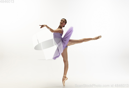 Image of Young graceful tender ballerina on white studio background