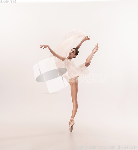 Image of Young graceful tender ballerina on white studio background