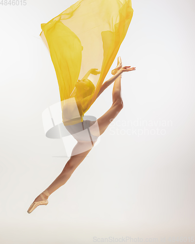 Image of Young graceful tender ballerina on white studio background