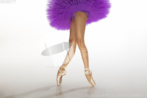 Image of Young graceful tender ballerina on white studio background