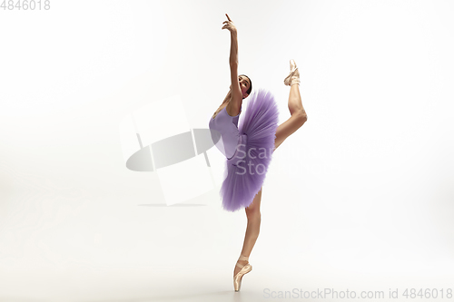 Image of Young graceful tender ballerina on white studio background