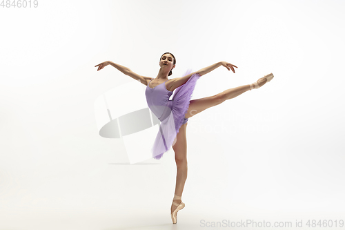 Image of Young graceful tender ballerina on white studio background