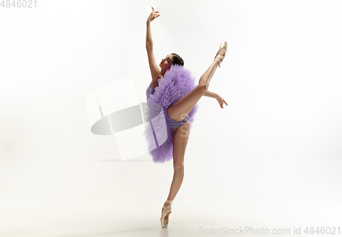 Image of Young graceful tender ballerina on white studio background