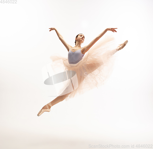 Image of Young graceful tender ballerina on white studio background