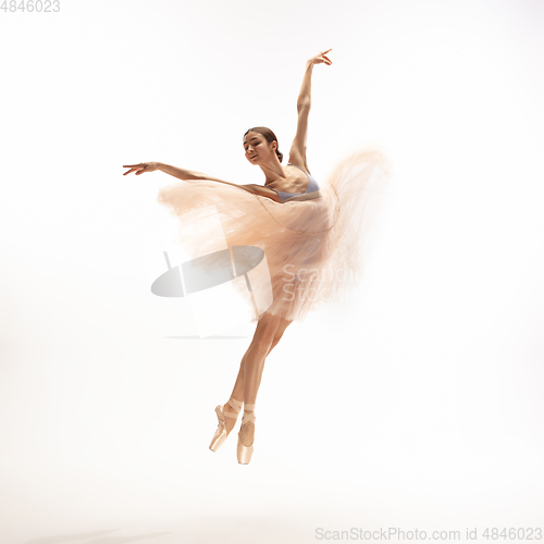 Image of Young graceful tender ballerina on white studio background