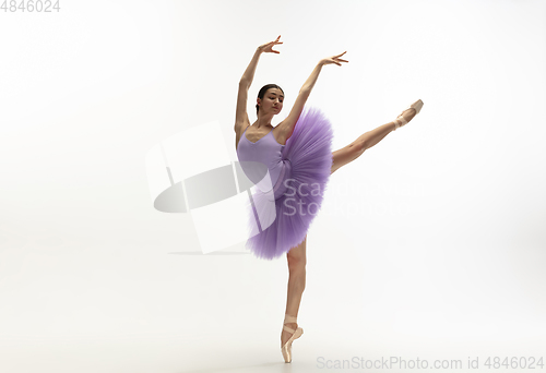 Image of Young graceful tender ballerina on white studio background