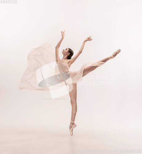 Image of Young graceful tender ballerina on white studio background