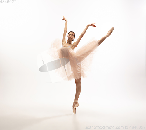 Image of Young graceful tender ballerina on white studio background