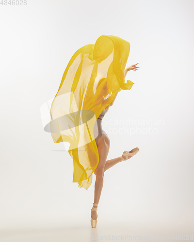 Image of Young graceful tender ballerina on white studio background