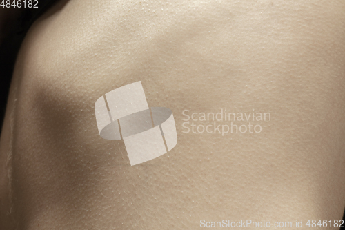 Image of Texture of human skin. Close up of well-kept caucasian human body