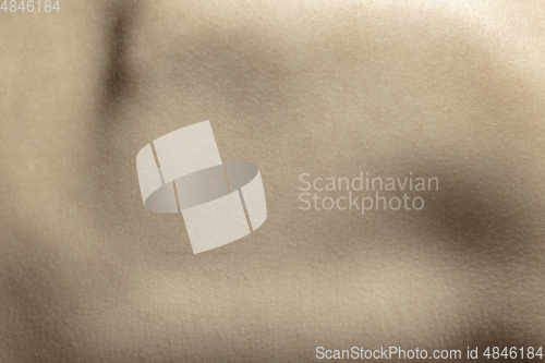 Image of Texture of human skin. Close up of well-kept caucasian human body